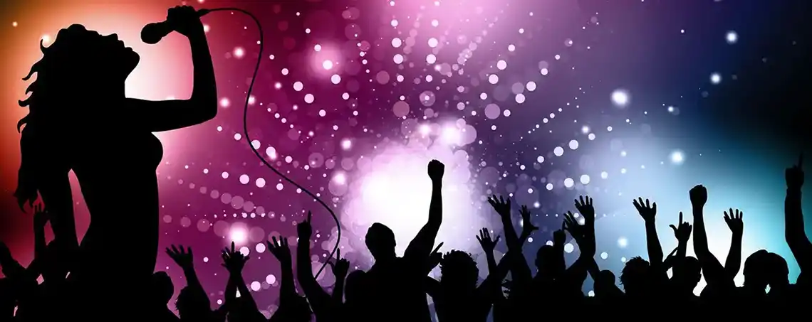 animax35-dj-mariage-soiree-rennes-bretagne-01