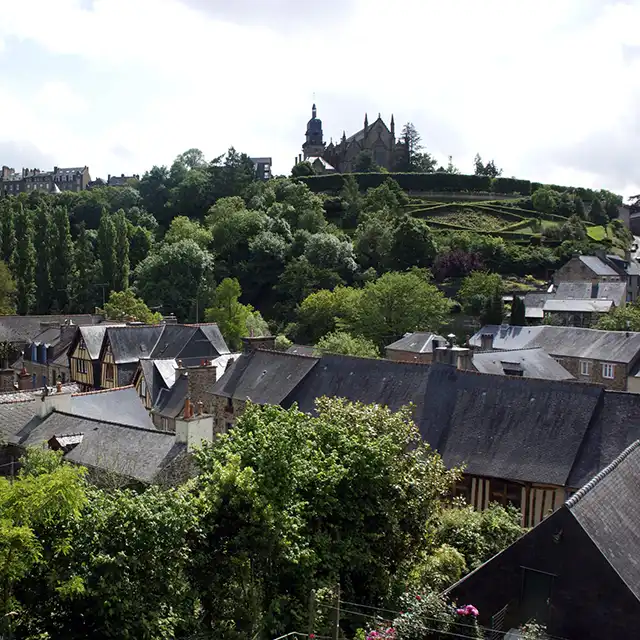 Fougères depuis le lieu de réception